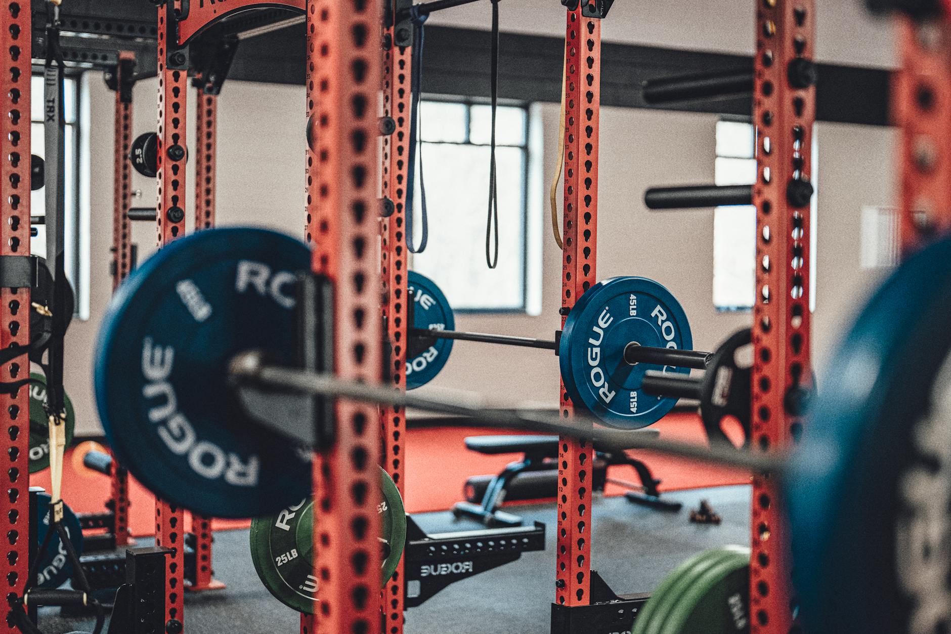 Jackalpower Fitness Club contact